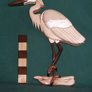 Heron Intarsia