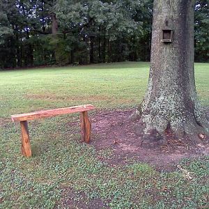 Live Edge Garden Bench