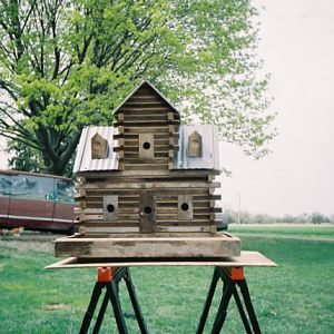 Extreme birdhouses