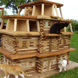 extreme birdhouses