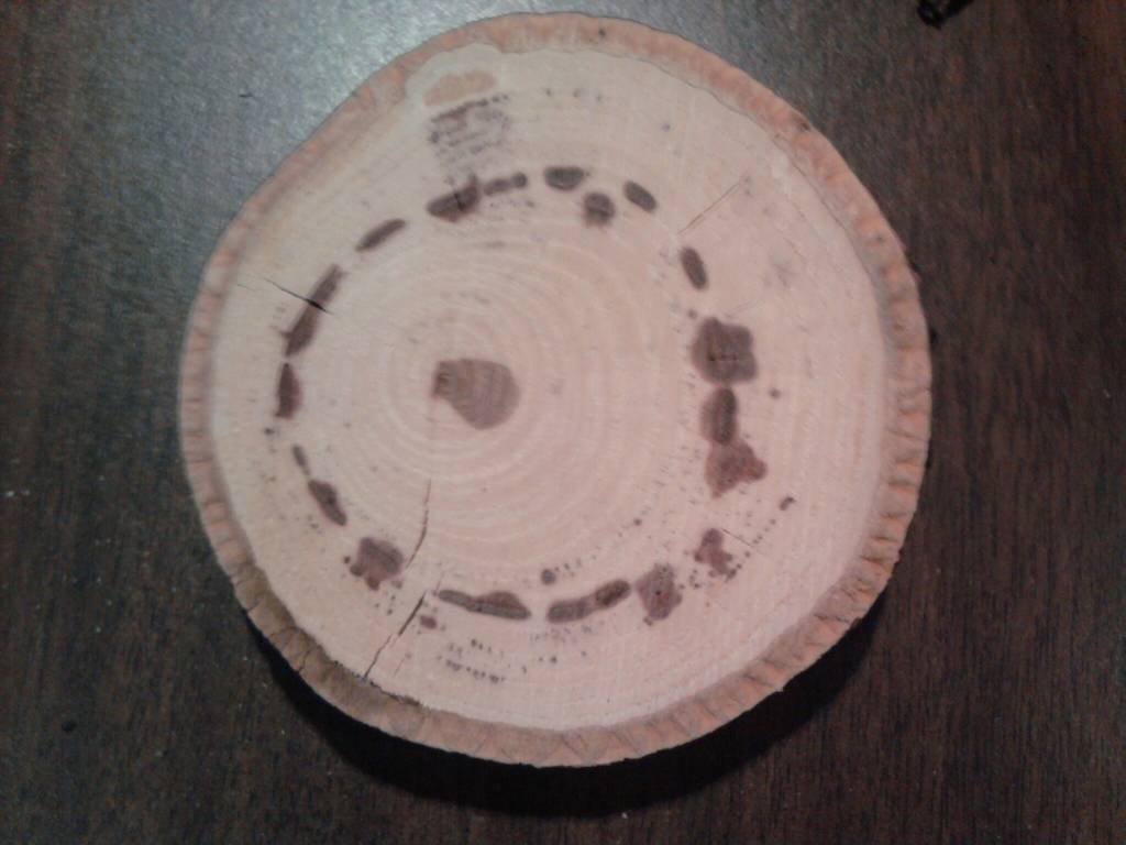Can you name this wood? Dried end section