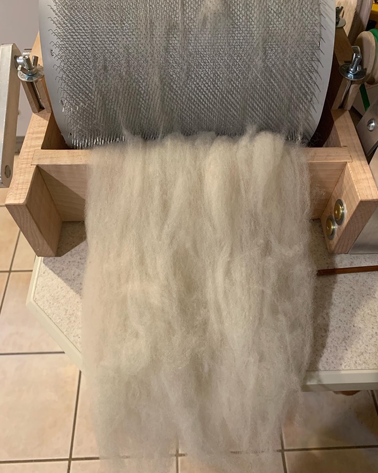 Carded wool