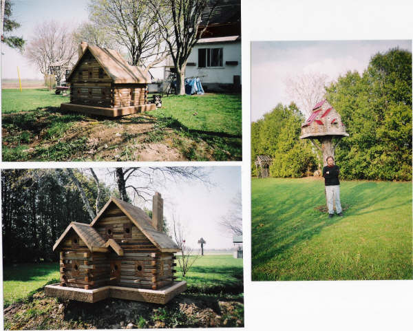 extreme birdhouses and me
