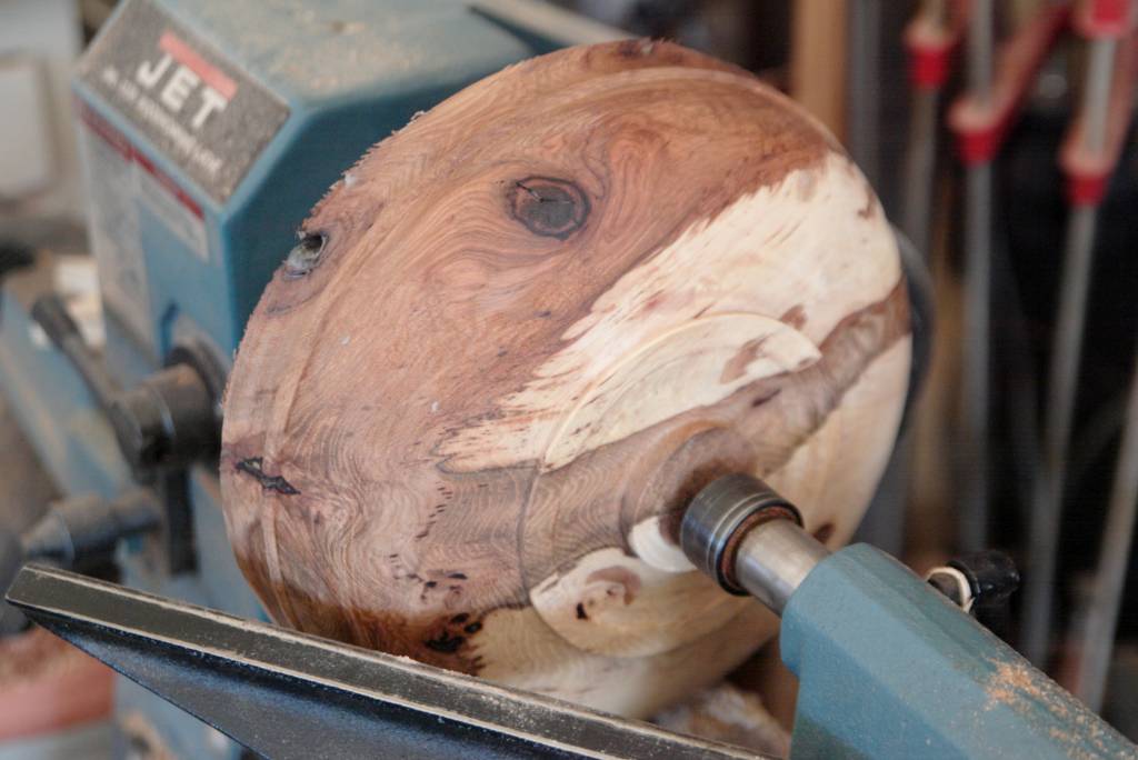 hickory bowl - rough turned