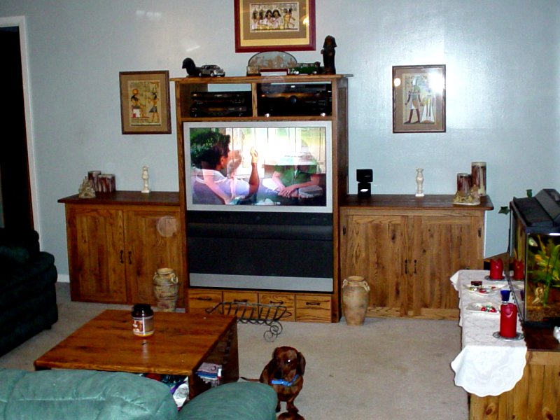 Old Entertainment Center
