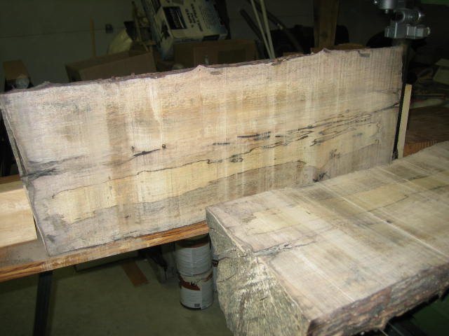 Spalted Persimmon