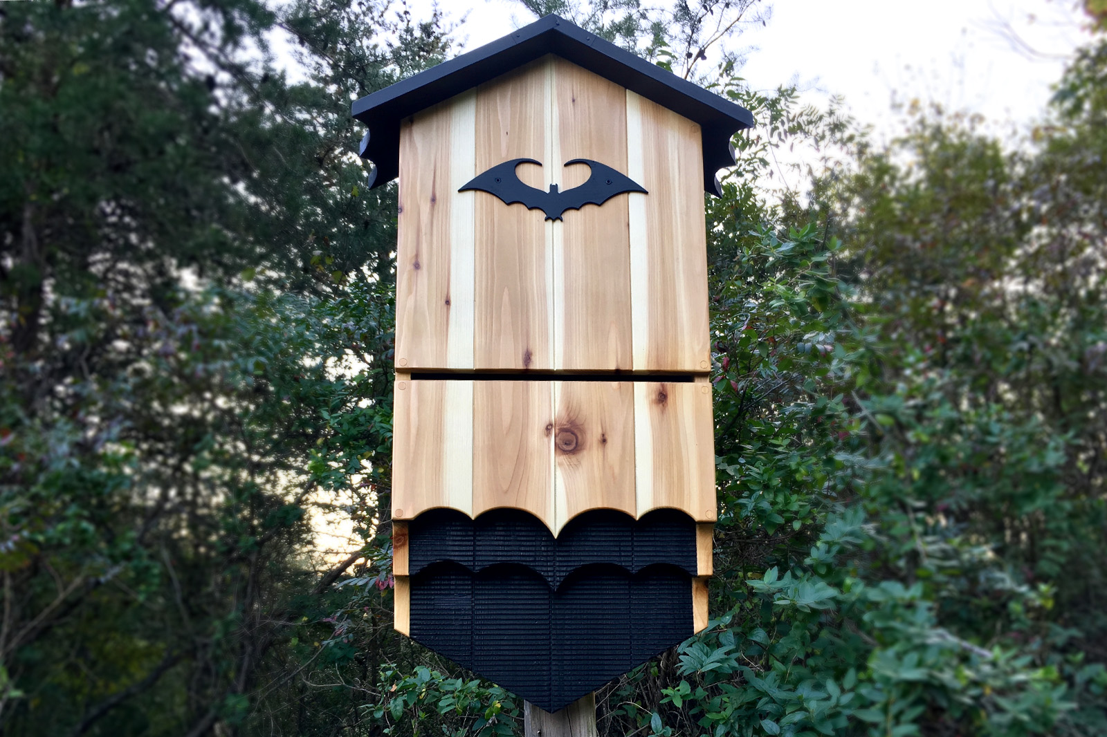 The Bat House