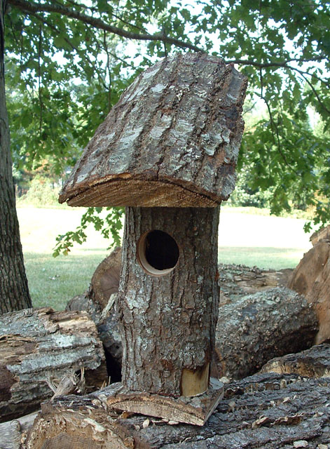 Tree House